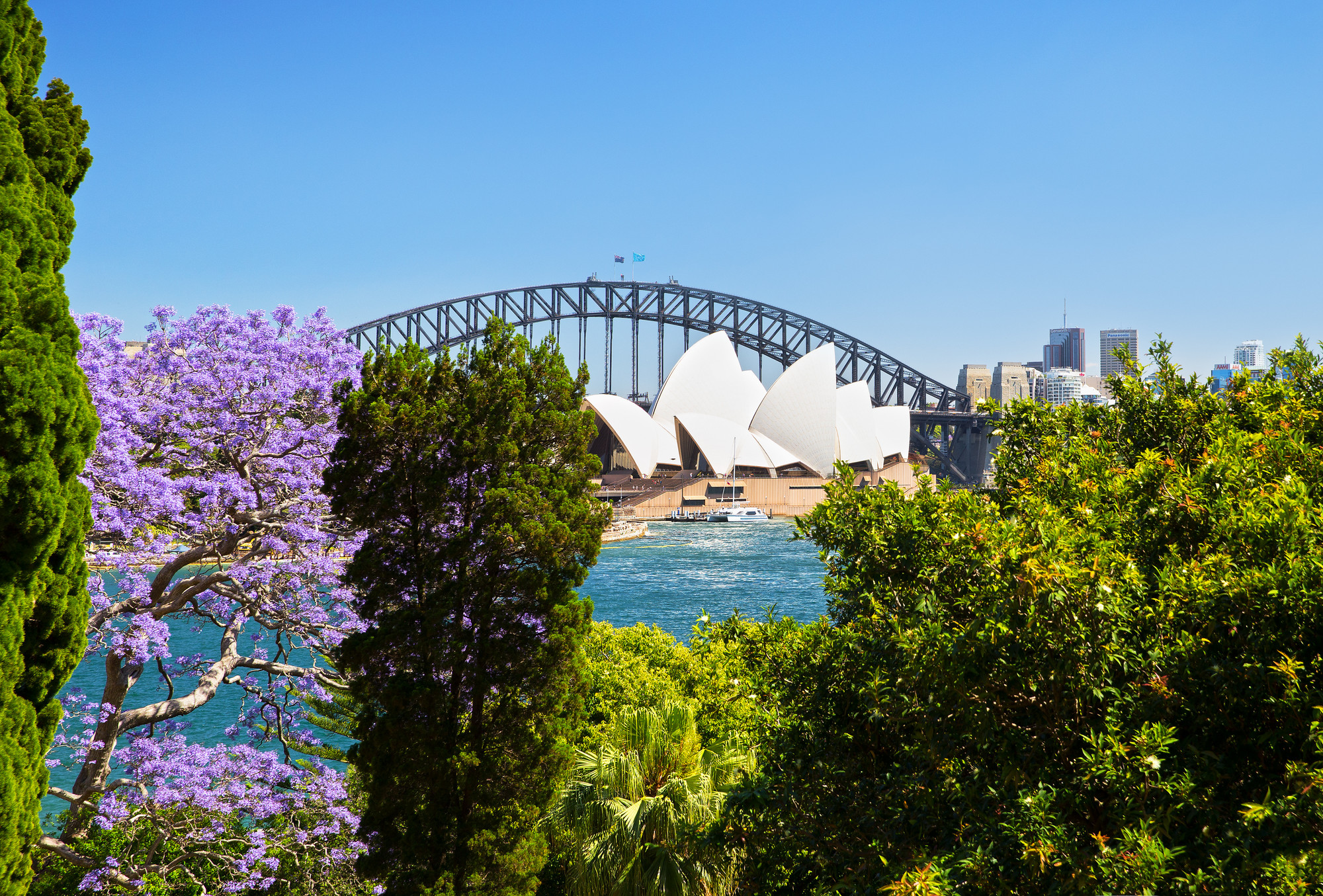 Spring Into Sydney Destination NSW