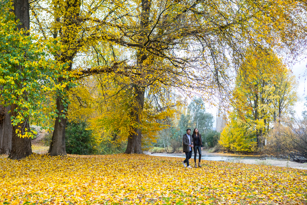 Autumn colours in NSW Destination NSW