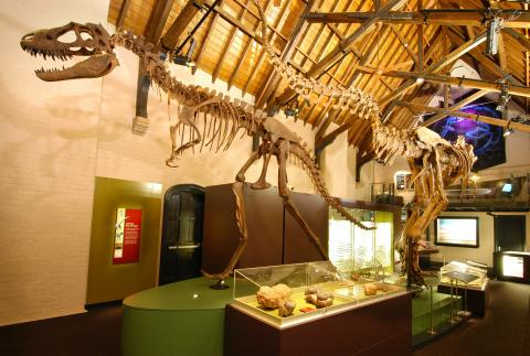Australian Mineral and Fossil Museum, Bathurst
