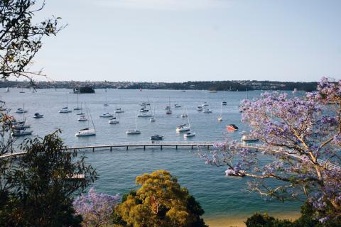 Murray Rose Pool, Double Bay