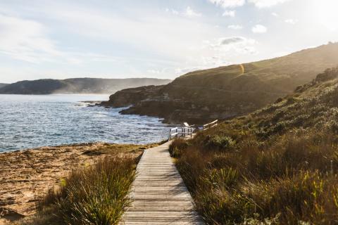 Bouddi National Park, Bouddi
