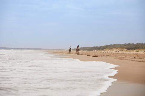 Bangalay Villas, Shoalhaven Heads