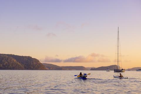 Pittwater Kayak Tours, Palm Beach