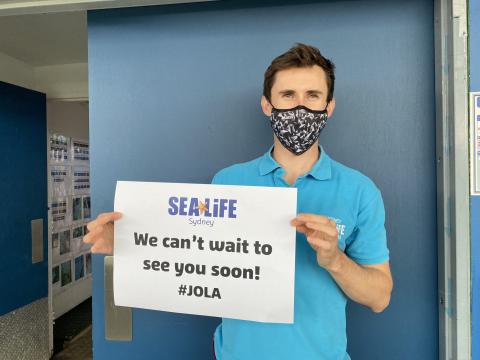 SEA LIFE Sydney invites you to book in advance and revel in #jola aka the joy of looking ahead