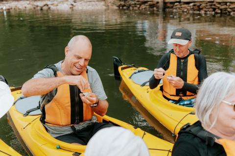 Region X Kayak Experience, Batemans Bay
